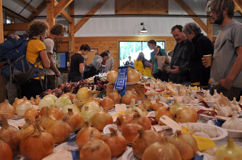 More onions!