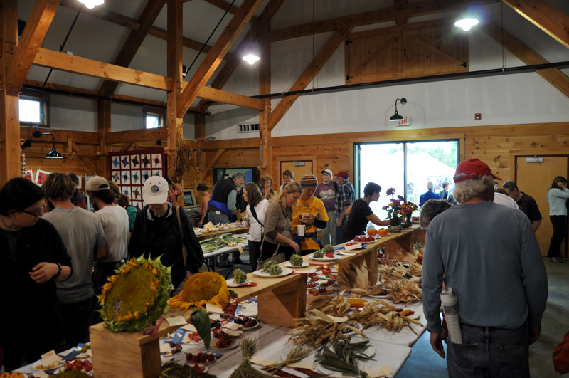 A harvest spread of agricultural produce.