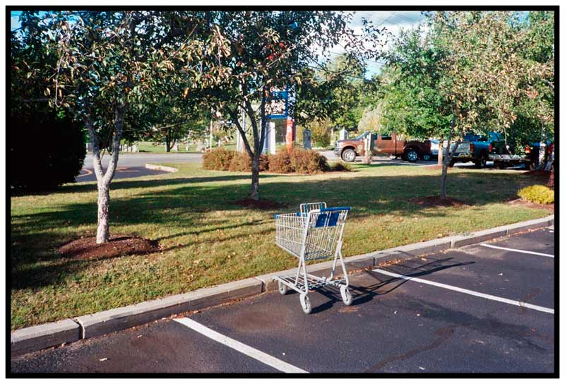BELFAST – Shopping cart.
