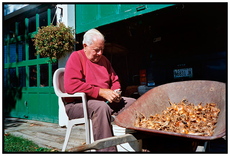 WALDO – Arthur Cross trims a wheelbarrow load of onions outside his home on the Waterville Road.