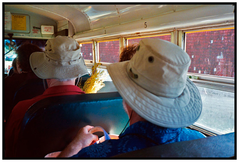 UNITY – A bunch of Sweet Annie peeking over the shoulder of a visitor to the Common Ground Country Fair was a familiar sight from past years. The school bus shuttles which replaced the traditional tractor-drawn wagons were new.