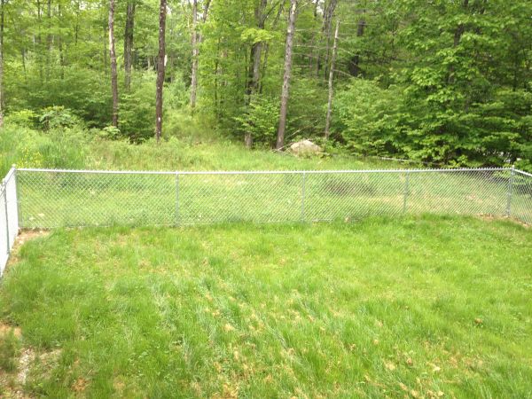 Nice Chain Linked Fence (Hiram)