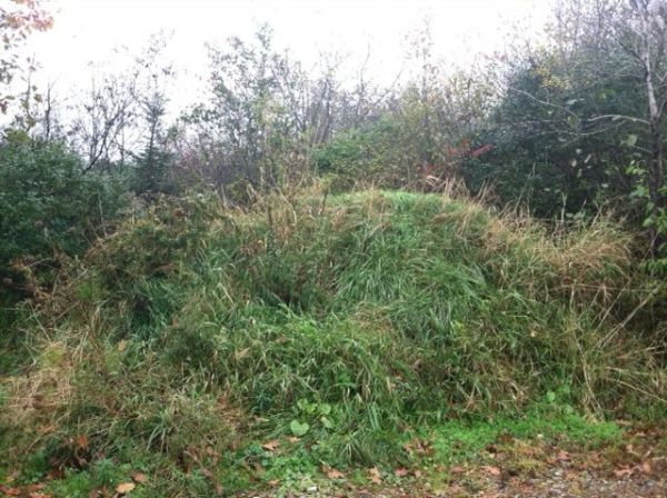 Big Pile of Dirt (Wiscasset)