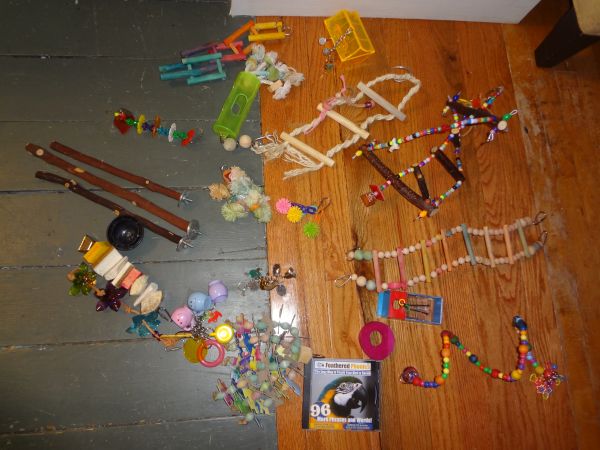 Lot of pet bird toys: FREE (Rockland) Lot of pet bird toys: FREE (Rockland)