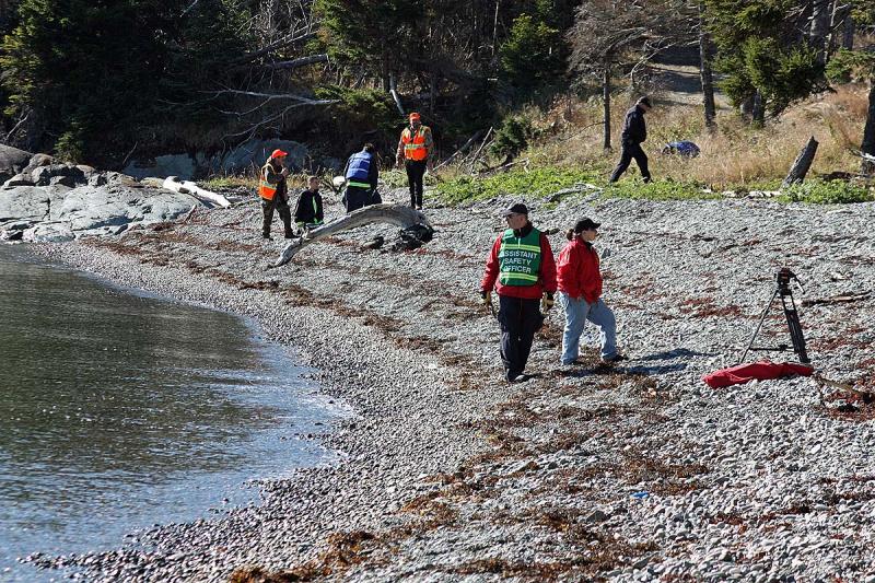 The beach scene on Lasell Island Saturday during the mass casualty exercise. (Photo by Holly S. Edwards)
