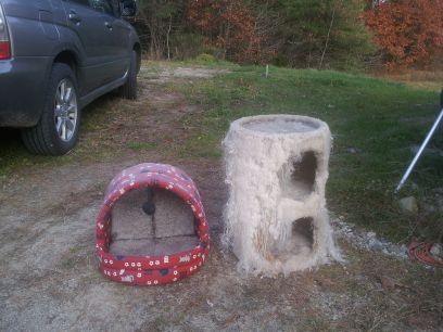 cat stuff (Windham)