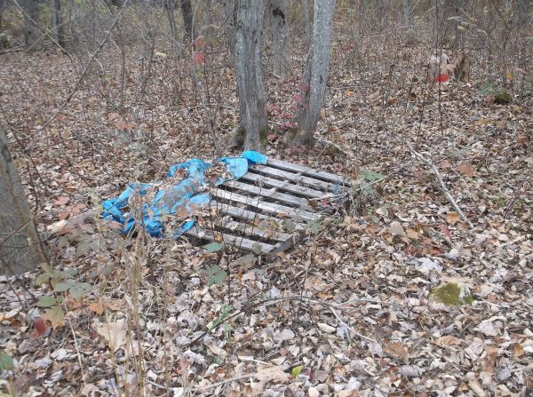 Pallets (Lincolnville)