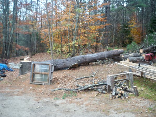 FREE FIRE WOOD (Casco)