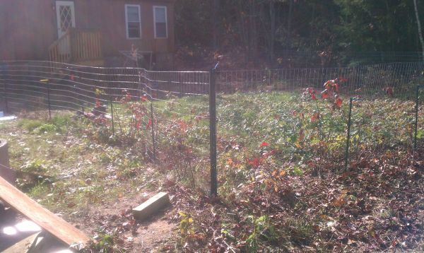 truck cap, huge dog fence, scrap metal (Limington)