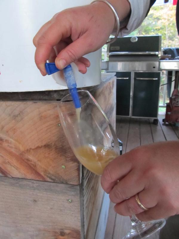 Drawing off a sample.