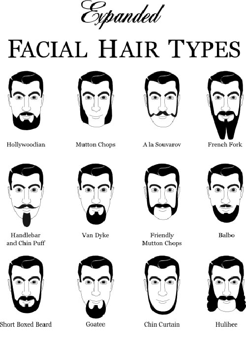 A partial beard chart (photo: Dyers.org)