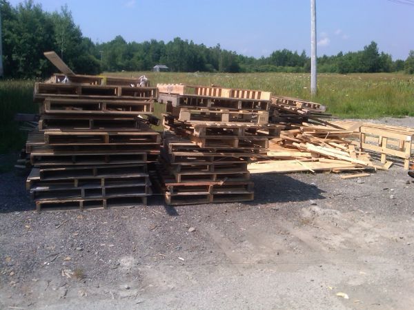 Junk Pallets (Bangor)