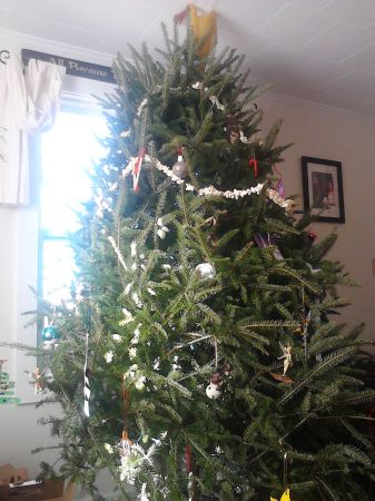 FREE 6 ft CHRISTMAS TREE artificial (Deering)
