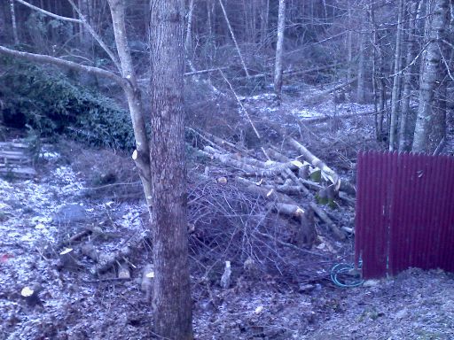 free wood (Benton)