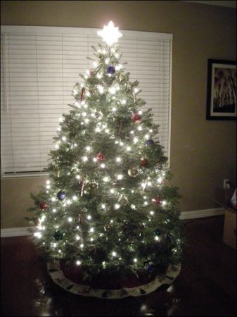 Christmas trees (South Portland)
