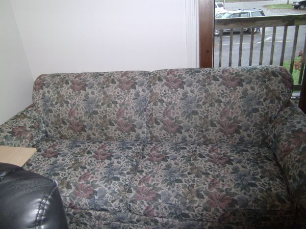 Free Couch (Lewiston)