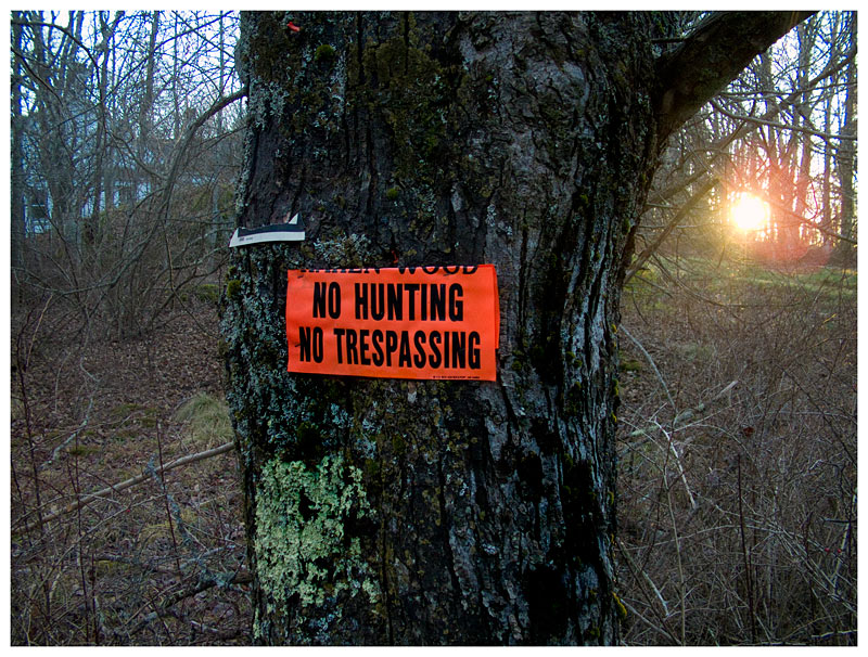"No hunting" signs are common along Islesboro's roads, though not necessarily reflective of popular opinion on the special deer hunt, which, unlike the regular season, is only open to island property owners. (Photo by Ethan Andrews)
