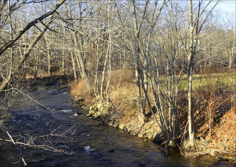The Megunticook River as it winds along the old tannery property. The pathway would be built on the righthand side of the river at that point. (Photo by Lynda Clancy(