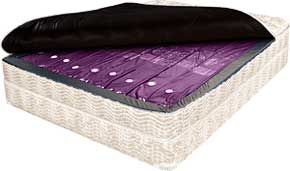 Waveless Waterbed (Double) (Falmouth )