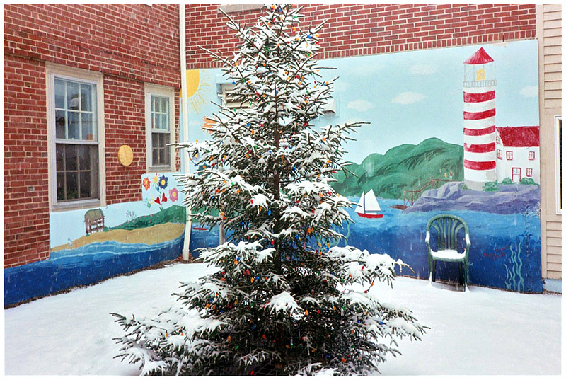 BELFAST - A Christmas tree in the courtyard of the Waldo County District Courthouse. BELFAST - A Christmas tree in the courtyard of Waldo County District Court. (Photo by Ethan Andrews)