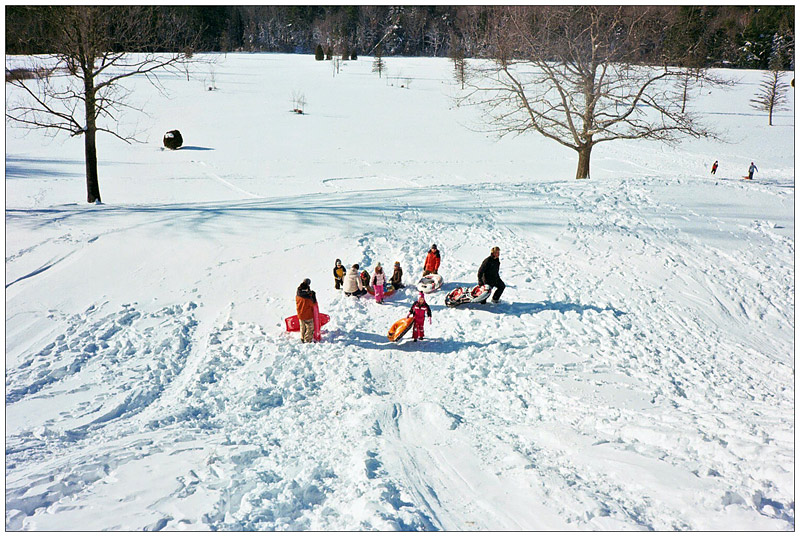 NORTHPORT - Sledders at the Northport Golf Club disperse after converging on a boy who had the wind knocked out of him after going over a small jump. NORTHPORT - Sledders at the Northport Golf Club disperse after converging on a boy who had the wind knocked out of him after going over a small jump. (Photo by Ethan Andrews)