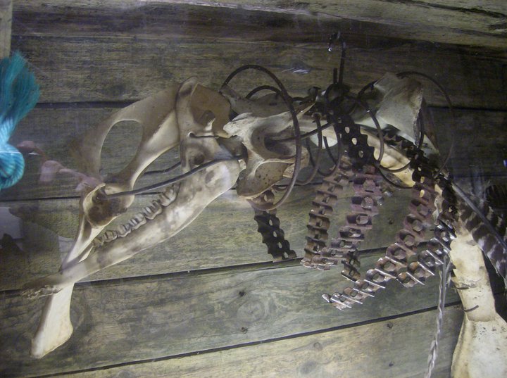 A closeup of David Allen's "Necropiscadachtyl" in 2010. (Photo by Kay Stephens)