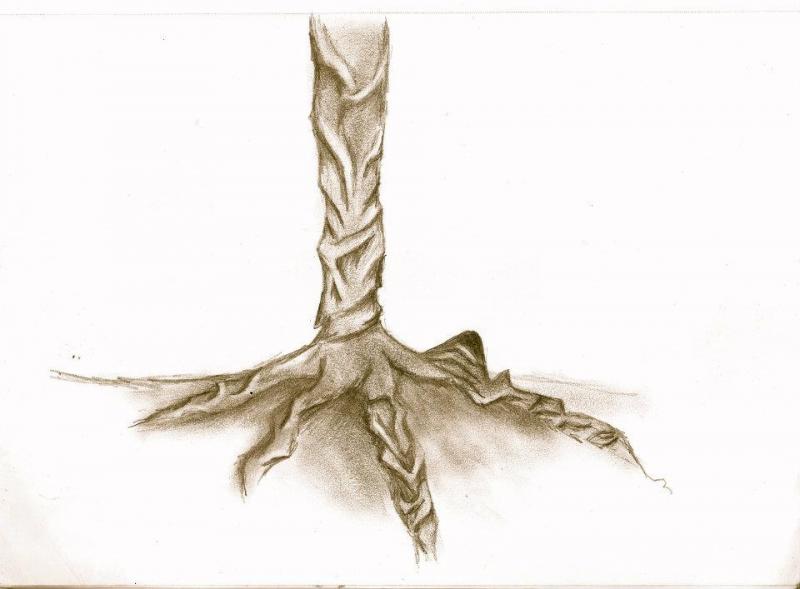 A drawing of a tree. (Courtesy Jalina Brown)