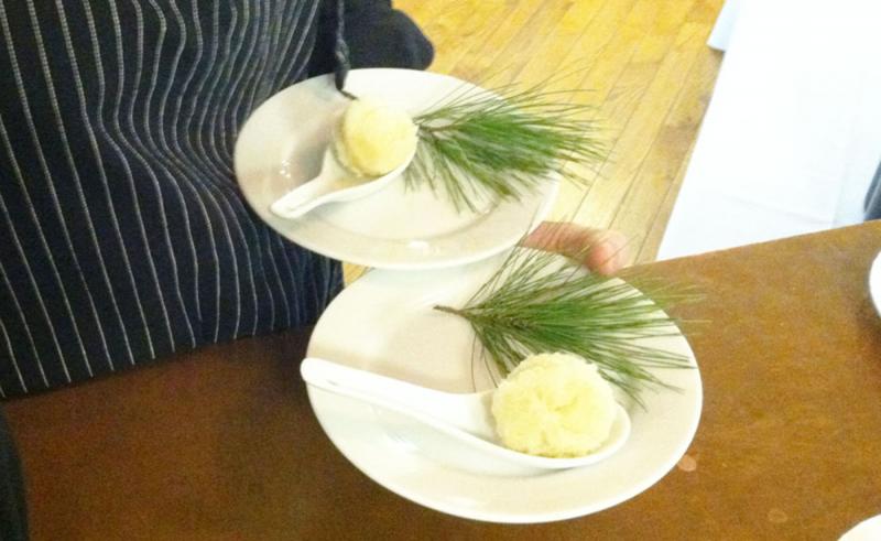Maine honey and maple sap straight from the tree were intermingled to create this intermezzo course. (Courtesy Ladleah Dunn)
