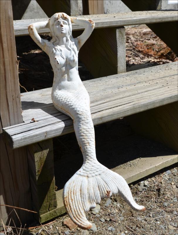 A mermaid graces the front steps of the O'Brien home in Lincolnville. Maggie gave it to her mother, Tracee, last Mother's Day.