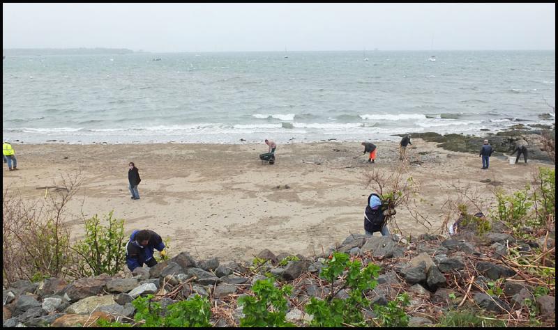 Volunteers work to clean Rockland's beaches.