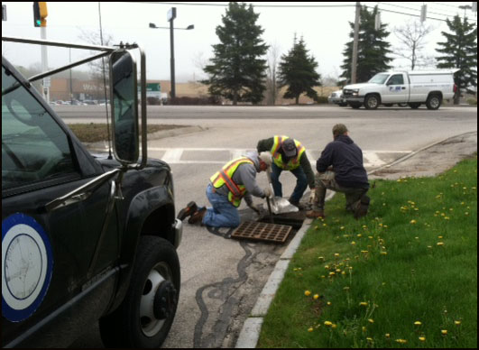Rockland Public Works employees Dave Elwell and Nate Borst and Greg Bucklin, of Belfast, work fast to get ducklings out of the sewer and back into the care of their mother. (Photo courtesy of Kelli Bucklin)