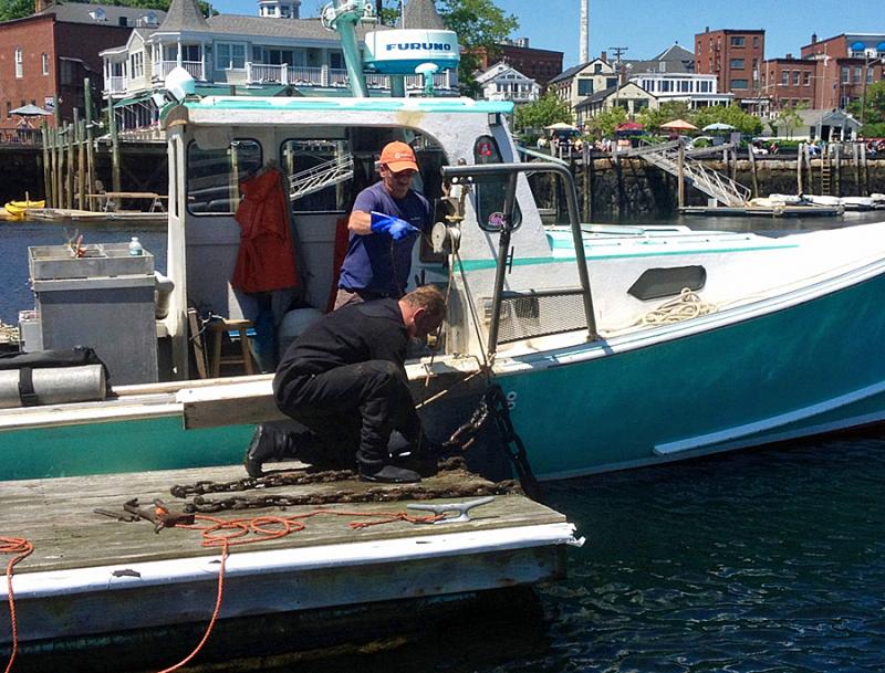 It's a dirty job and divers Toby Wincklhofer and Tim Galvin get it done, replacing bottom chains on the town's inner harbor floats. (Photo by Steve Pixley)