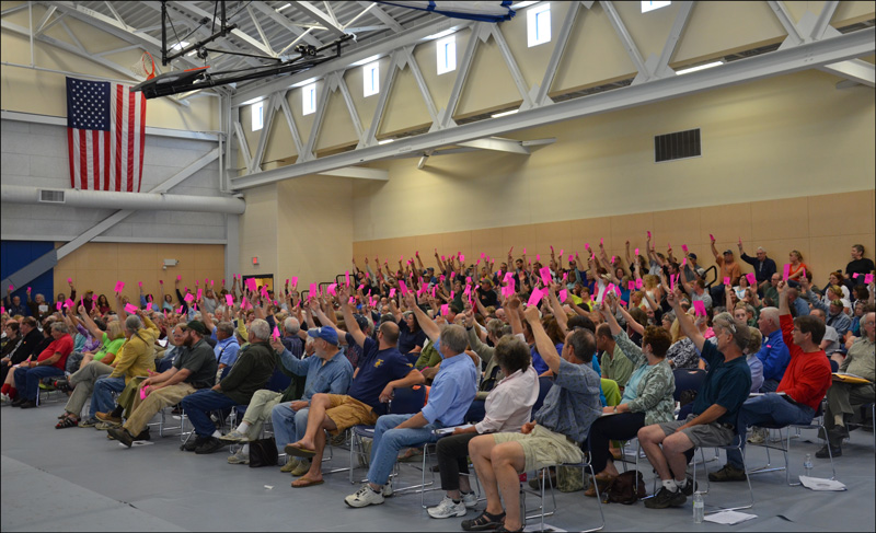 Raising their cards, casting their votes. (Lynda Clancy)