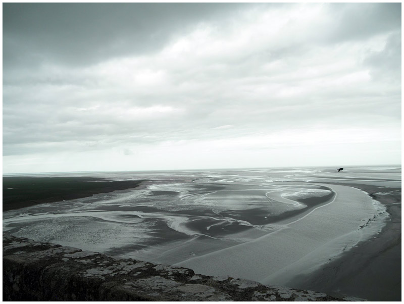 "An infinite monotone carpet." (Photo by Ari Snider)