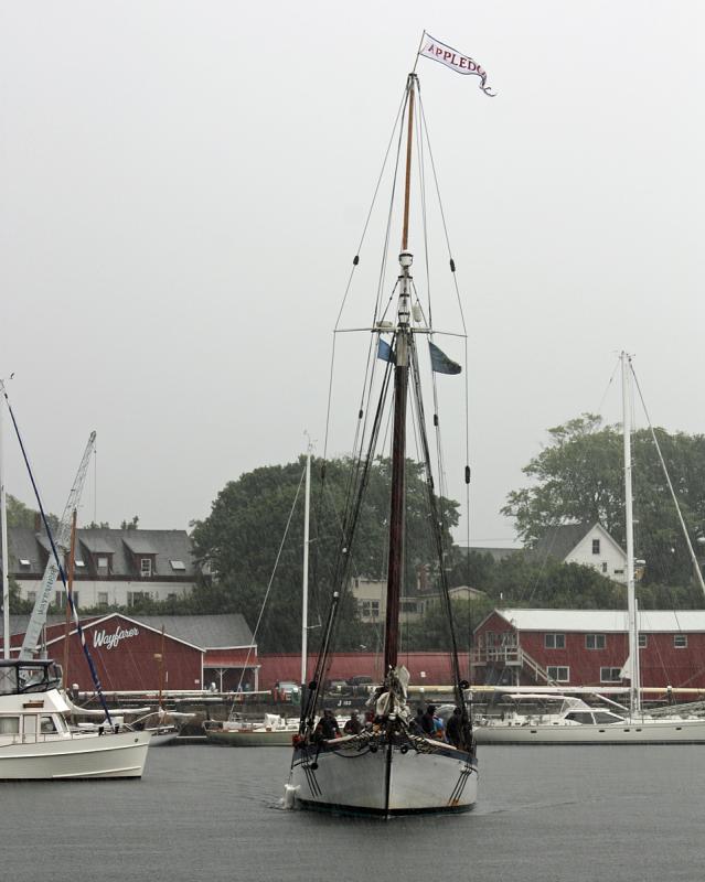 The schoner Appledore enters the head of Camden Harbor... (Photo by Holly S. Edwards)