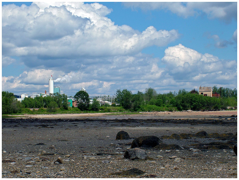 GAC Chemical Corp. seen from near the Sears Island Causeway. (Photo by Ethan Andrews)
