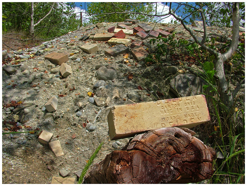 Bricks and debris along the mile of shoreline surrounding GAC Chemical betray a long history of industry. (Photo by Ethan Andrews)