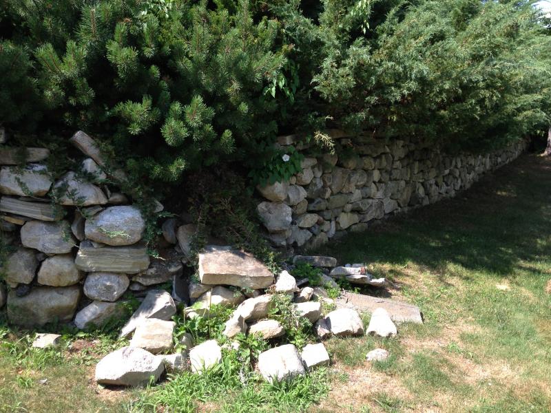 Fox Hill has some deferred maintenance