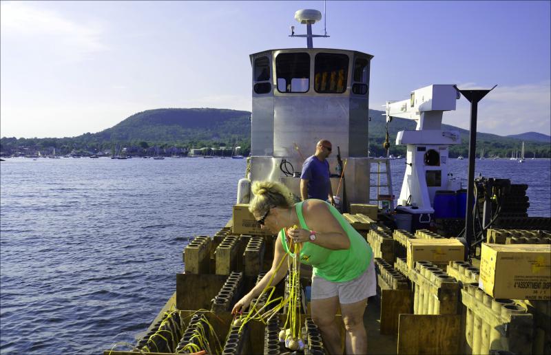 Jeremy and Shannon Hay, husband and wife, set up fireworks on a barge in Camden Harbor, near Curtis Island, for the July 4, 2013 birthday celebration of the United States. (Photo by Lynda Clancy)