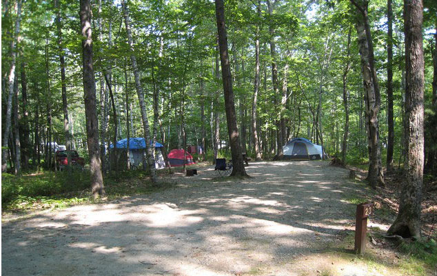 A tent spot at Camden Hills State Park. (Courtesy Campsite photos)