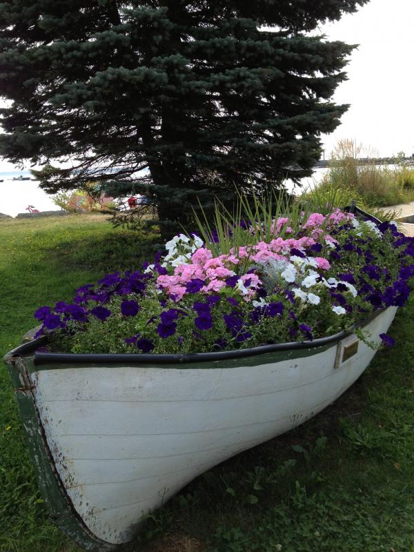 Members of the Lincolnville Improvement Association keep flowers blooming in this boat at the beach.