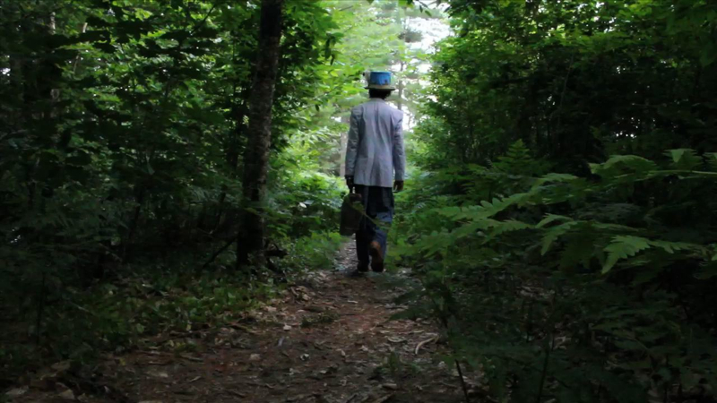 Into the woods. (Photo by Wes Sterrs)