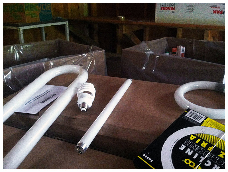 The increase in popularity of screw in compact fluorescent bulbs, center, has brought attention to the mercury content in older style, straight, U-shaped and circular tubes. (Photo by Ethan Andrews)