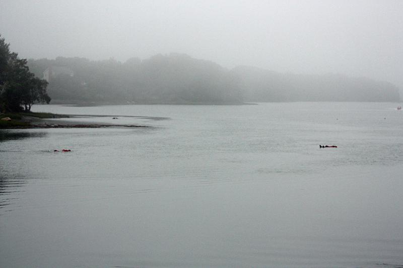 With two 'victims' rescued, the third is seen floating 'lifeless' down the river and it's time for another swimmer to head out and get them. (Photo by Holly S. Edwards)