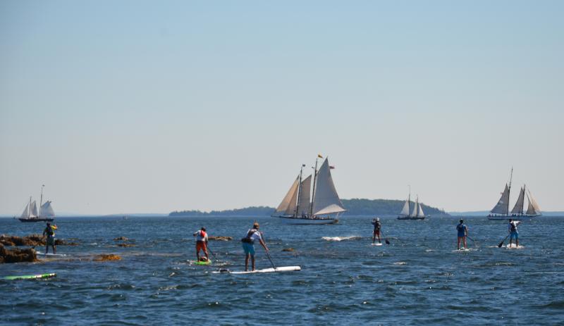 The first annual Lobster SUP Cup sent 30 stand-up paddle boarders from Rockport to Belfast on a beautiful August weekend. (Photo by Lynda Clancy)