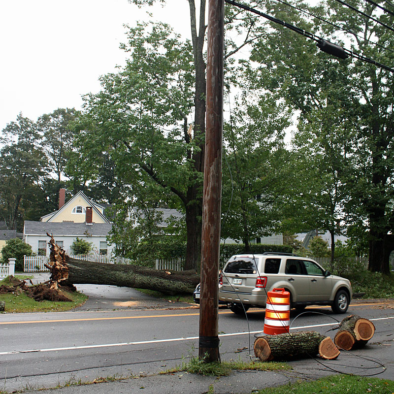 Washington Street in Camden. (Photo by Holly S. Edwards)