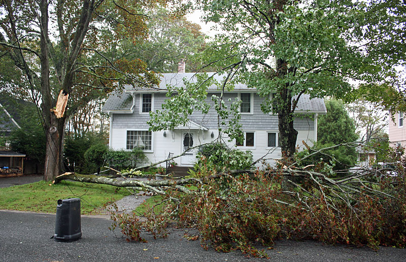 A downed tree limb on Norwood Avenue in Camden. (Photo by Holly S. Edwards)
