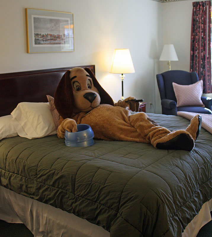 Like many lodging establishments in Camden, the Riverhouse is pet friendly. (Photo by Holly S. Edwards)