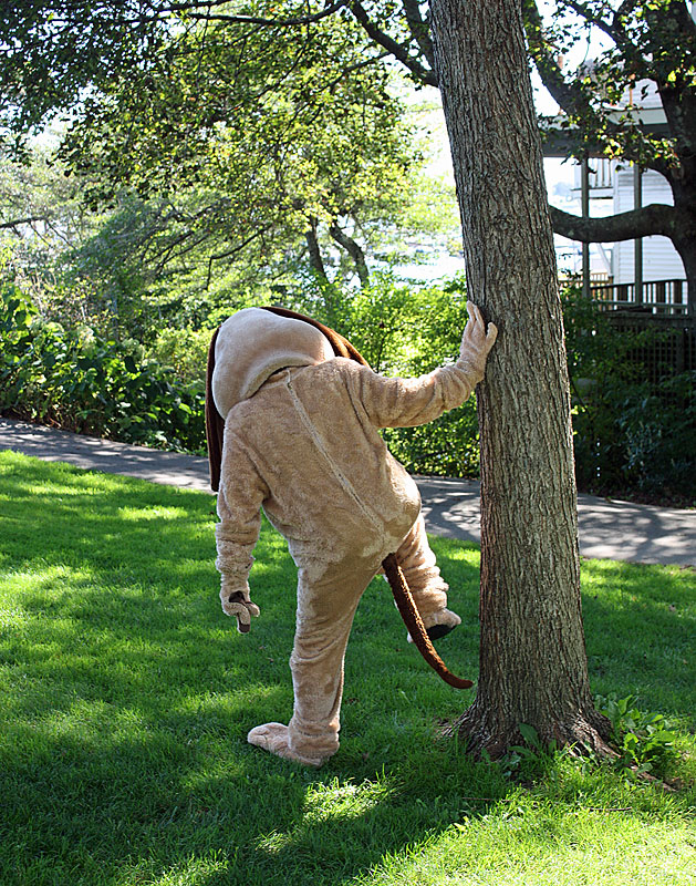 A puppy’s got to do what a puppy needs to do. (Photo by Holly S. Edwards)