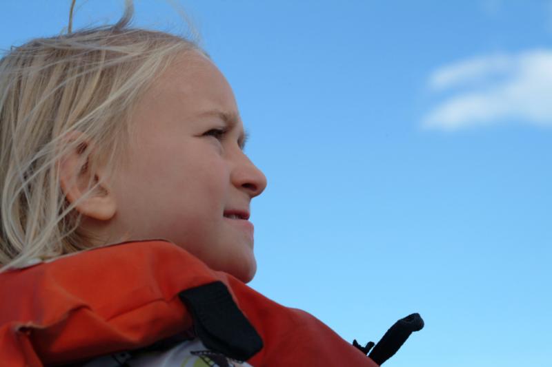 Sophia Clayton, 7, of Rockland searches the harbor for signs of seals. (Photo: Shlomit Auciello)